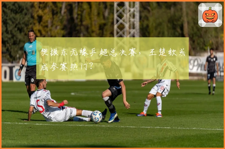 樊振东无缘乒超总决赛，王楚钦或成参赛热门？