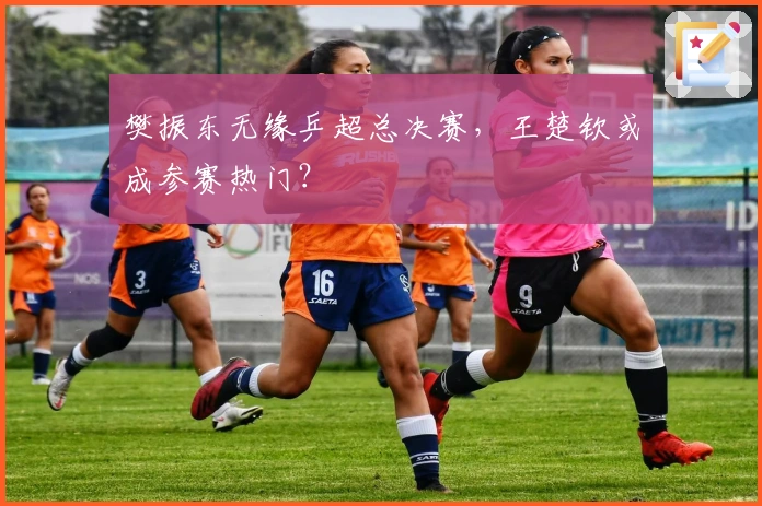 樊振东无缘乒超总决赛，王楚钦或成参赛热门？