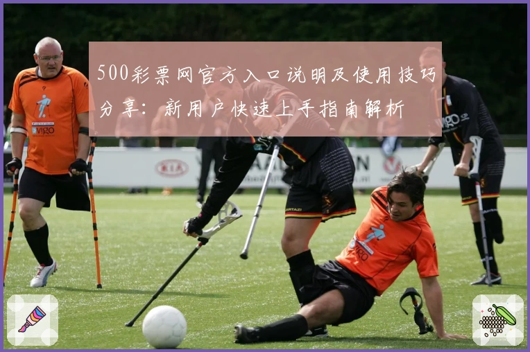 500彩票网官方入口说明及使用技巧分享：新用户快速上手指南解析