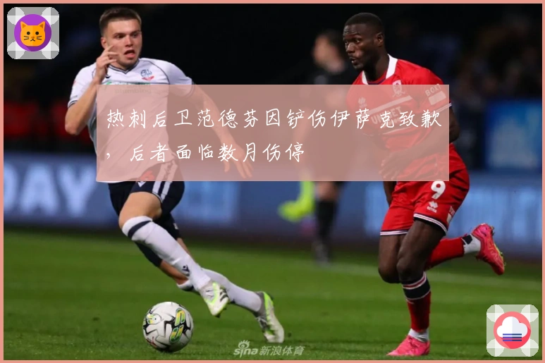 热刺后卫范德芬因铲伤伊萨克致歉，后者面临数月伤停