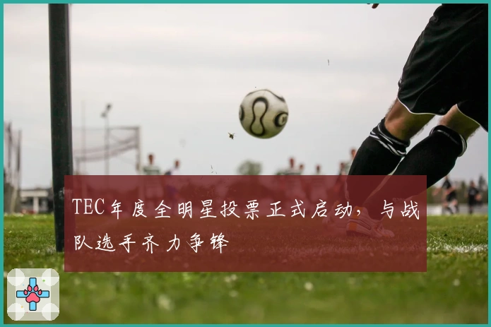 TEC年度全明星投票正式启动，与战队选手齐力争锋
